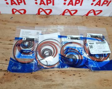 BỘ SIN ĐẠI TU ĐỘNG CƠ WD10